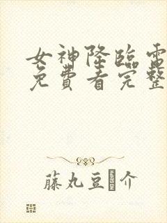 女神降临电视剧免费看完整版