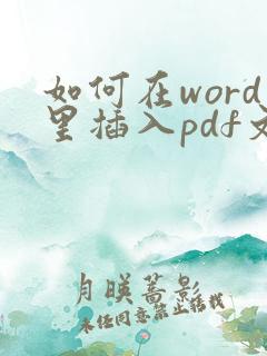 如何在word里插入pdf文件