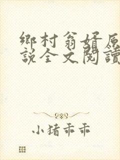 乡村翁婿原著小说全文阅读
