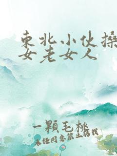 东北小伙搡老熟女老女人