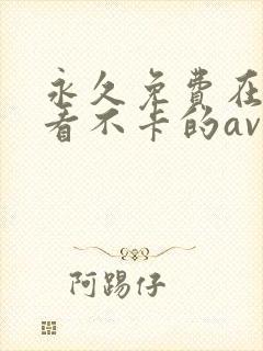 永久免费在线观看不卡的av