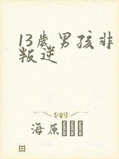 13岁男孩非常叛逆