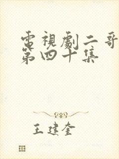 电视剧二哥二嫂第四十集