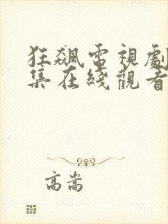 狂飙电视剧40集在线观看免费追剧网