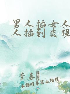 男人插女人插女人插到爽视频