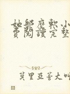 她那么软小说免费阅读完整版