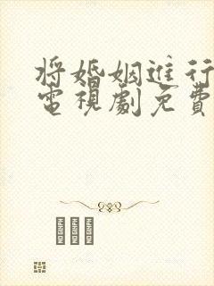 将婚姻进行到底电视剧免费观看完整版