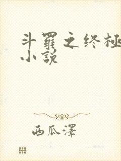 斗罗之终极斗罗小说