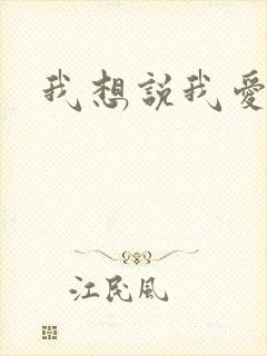 我想说我爱你