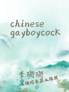 chinesegayboycock