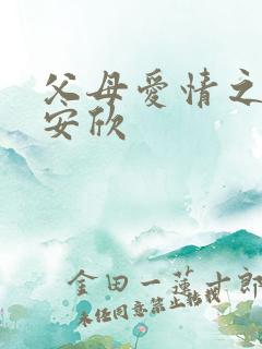 父母爱情之娶了安欣