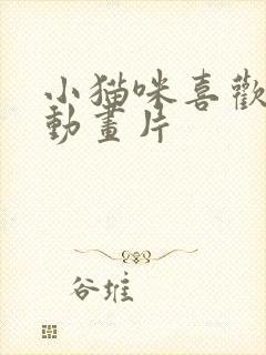 小猫咪喜欢看的动画片