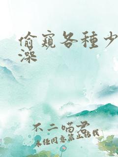 偷窥各种少妇洗澡