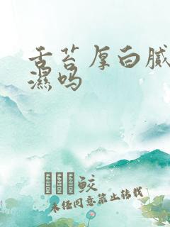 舌苔厚白腻是痰湿吗