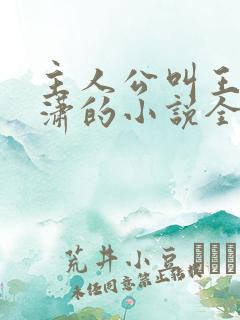 主人公叫王东唐潇的小说全文免费阅读笔趣阁