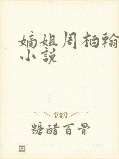 嫡姐周柏翰柳儿小说