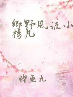 乡野风流小神医杨凡