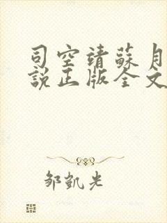 司空靖苏月汐小说正版全文免费阅读