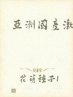 亚洲国产激情片