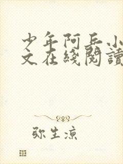 少年阿兵小说全文在线阅读