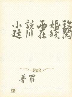 小说两婚玫瑰赵廷川在线阅读