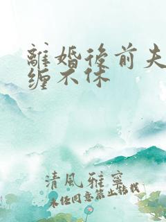离婚后前夫他纠缠不休
