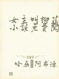 女主叫柳菲菲的小说免费阅读