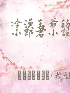 冷漠王爷的替嫁小郎君小说免费阅读