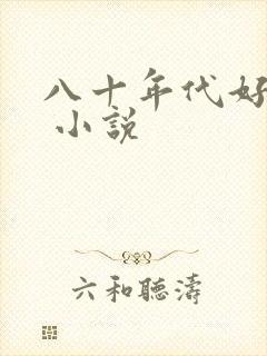 八十年代好生活 小说