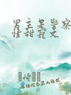 男主是警察的言情甜宠文