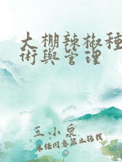 大棚辣椒种植技术与管理