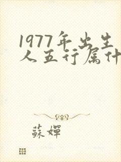 1977年出生人五行属什么命