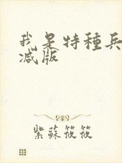 我是特种兵未删减版