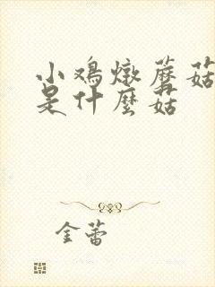小鸡炖蘑菇用的是什么菇