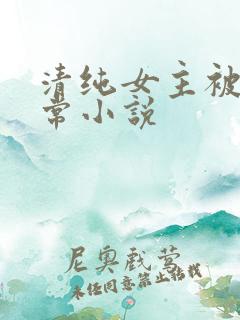 清纯女主被穿日常小说