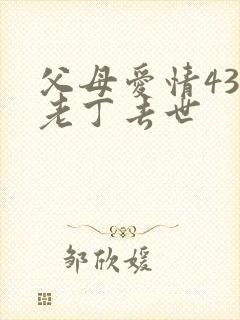 父母爱情43集老丁去世