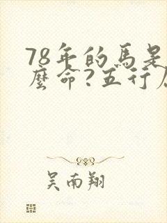 78年的马是什么命?五行属性