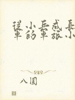 从小兵成长到将军的军旅小说