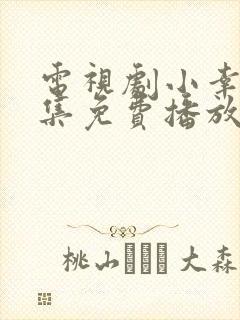 电视剧小幸福全集免费播放