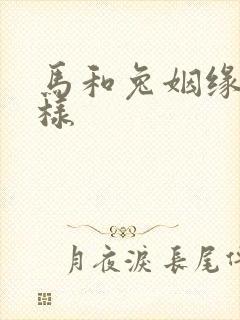 马和兔姻缘怎么样