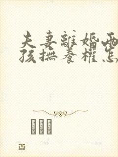 夫妻离婚两个小孩抚养权怎么判定