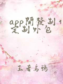 app开发制作定制外包