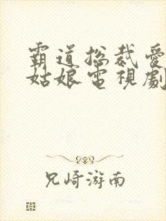 霸道总裁爱上灰姑娘电视剧免费全集观看
