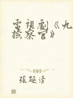 电视剧《九部的检察官》