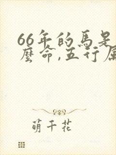 66年的马是什么命,五行属性