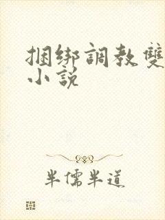 捆绑调教双性的小说