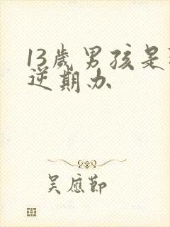 13岁男孩是叛逆期办