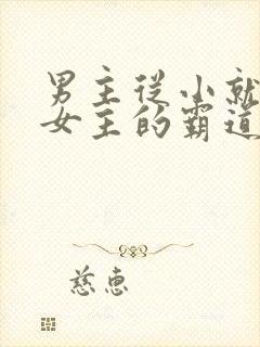 男主从小就喜欢女主的霸道总裁文