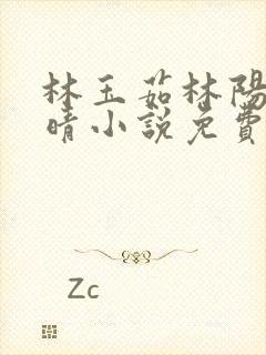 林玉茹林阳柳思晴小说免费阅读