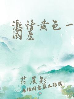 激情黄色一级片国产